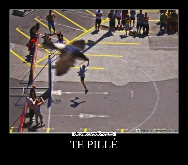 TE PILLÉ -