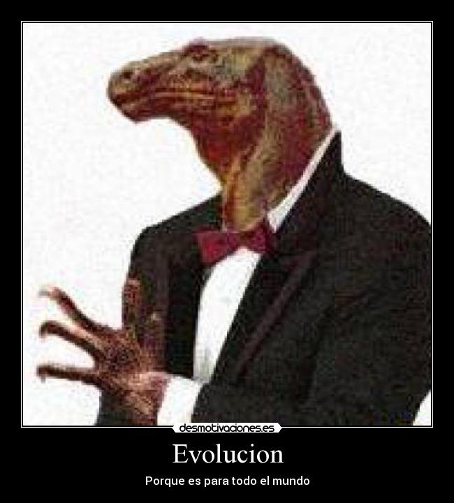 Evolucion -