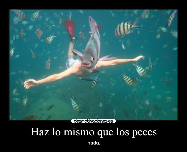 Haz lo mismo que los peces -