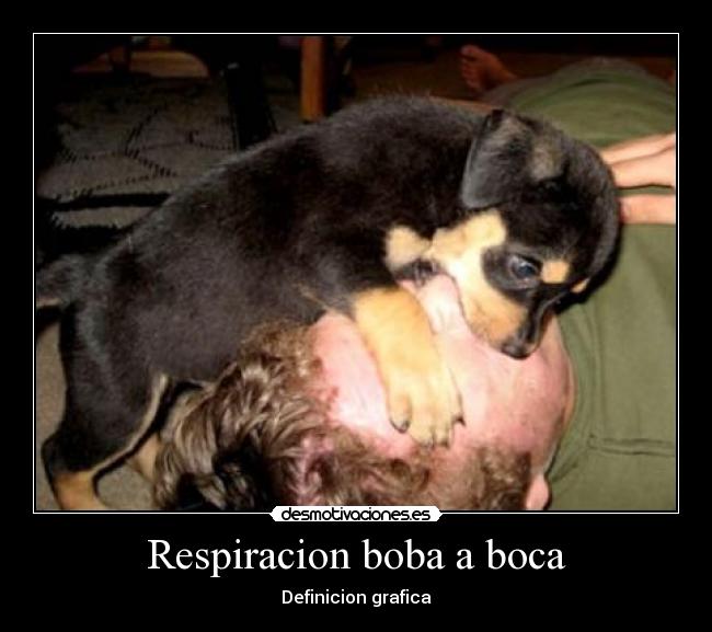 Respiracion boba a boca - 