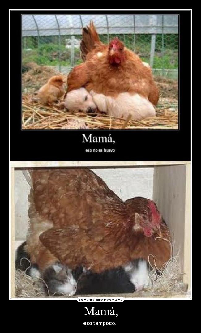 Mamá, - eso tampoco...