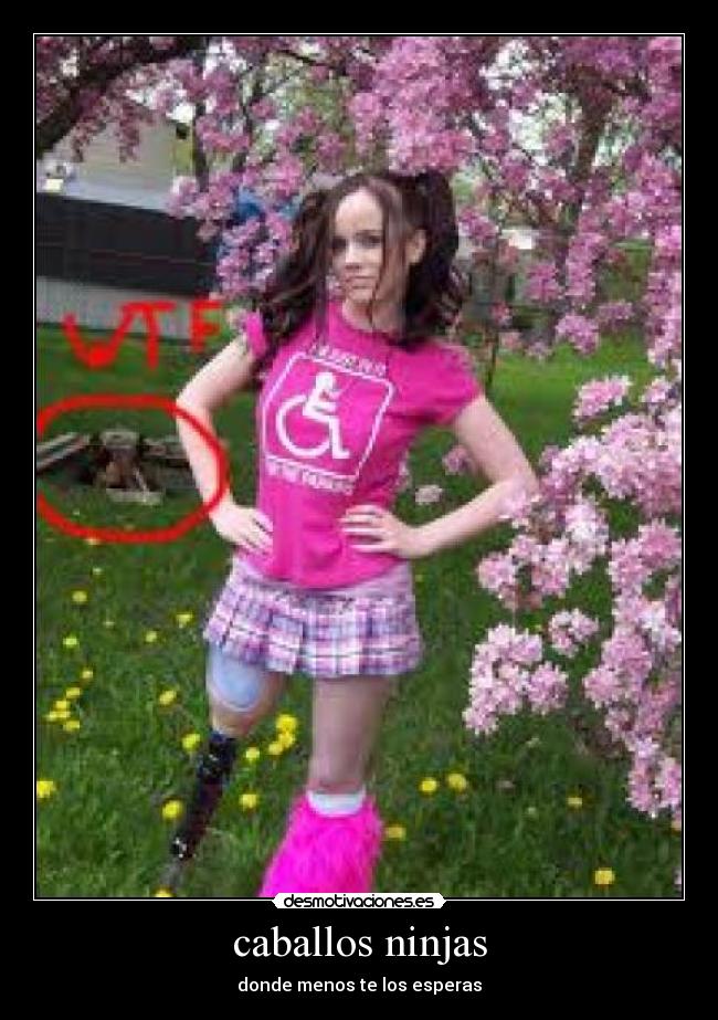 caballos ninjas - donde menos te los esperas