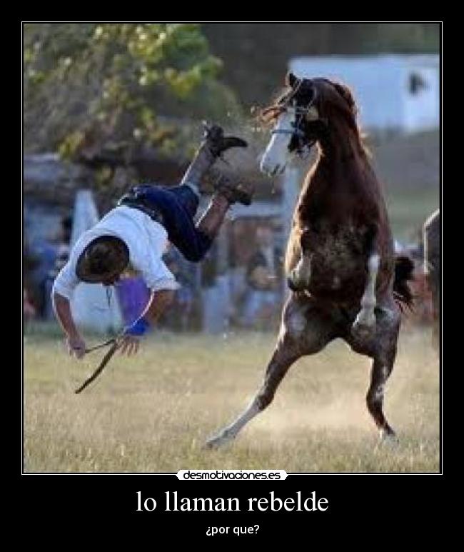 lo llaman rebelde -