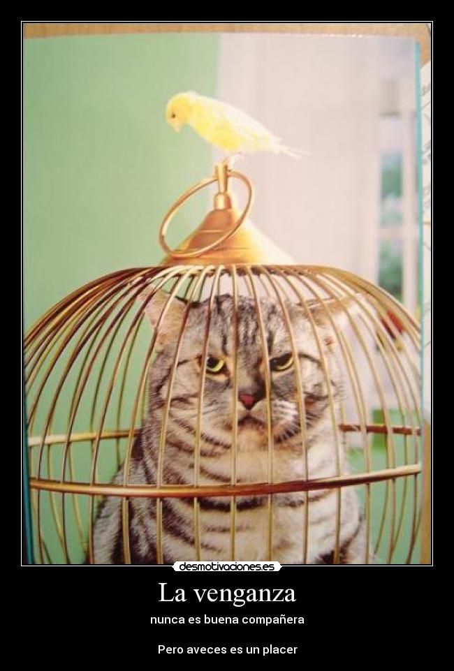 carteles venganza mala placer sock desmotivaciones