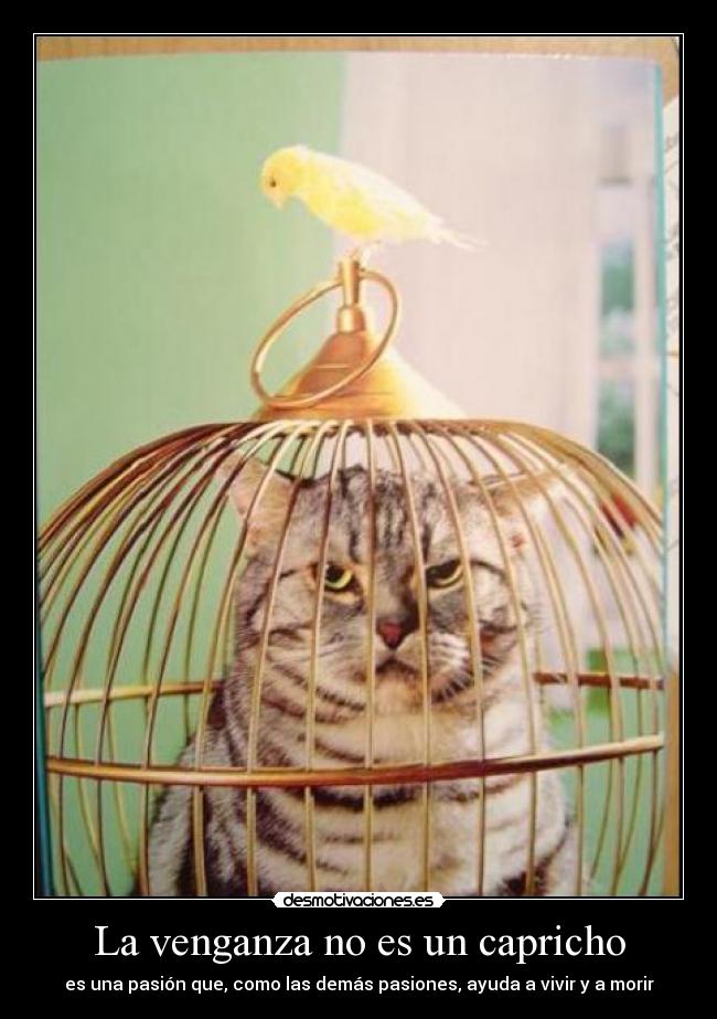 La venganza no es un capricho -
