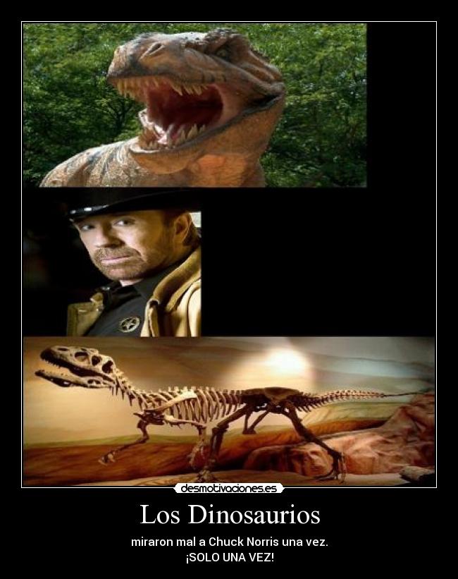 Los Dinosaurios - miraron mal a Chuck Norris una vez.
¡SOLO UNA VEZ!