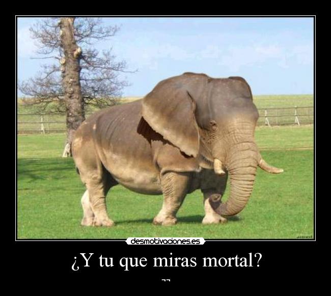 ¿Y tu que miras mortal? -