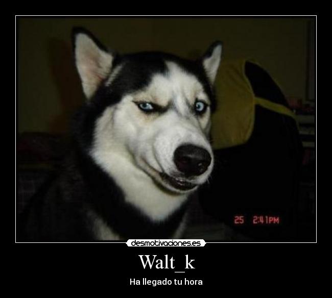 Walt_k - Ha llegado tu hora