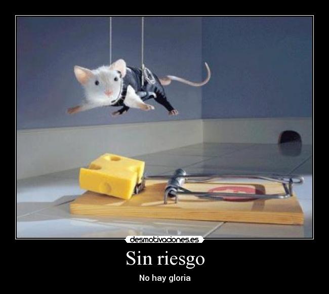 Sin riesgo - 