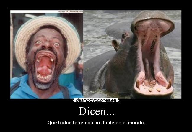 Dicen... - 