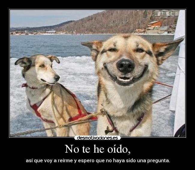No te he oído, - 