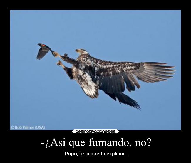 -¿Asi que fumando, no? - 