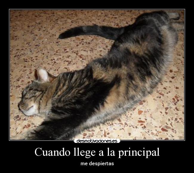 Cuando llege a la principal - me despiertas