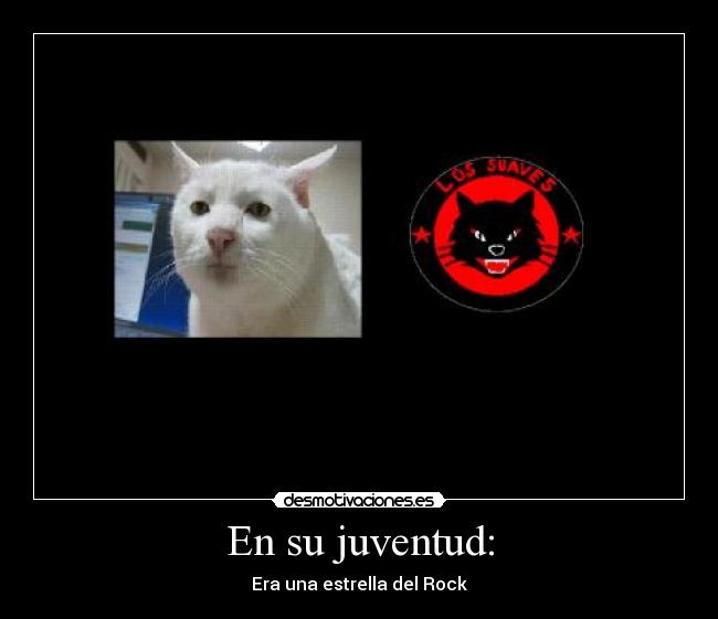 carteles rock desmotivaciones