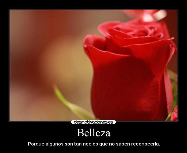 Belleza -