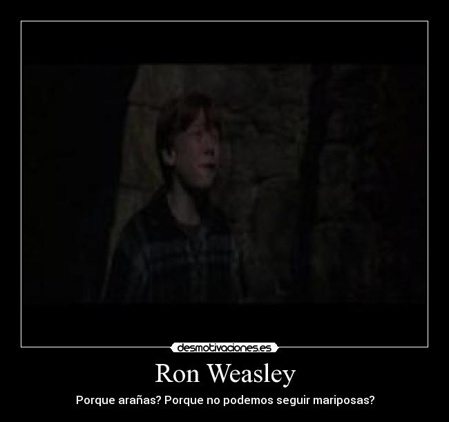 Ron Weasley - 