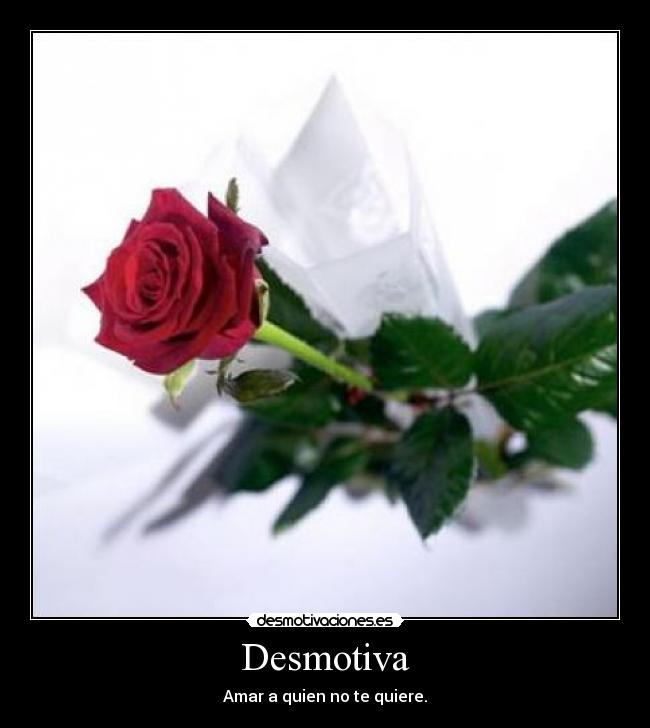 Desmotiva - Amar a quien no te quiere.