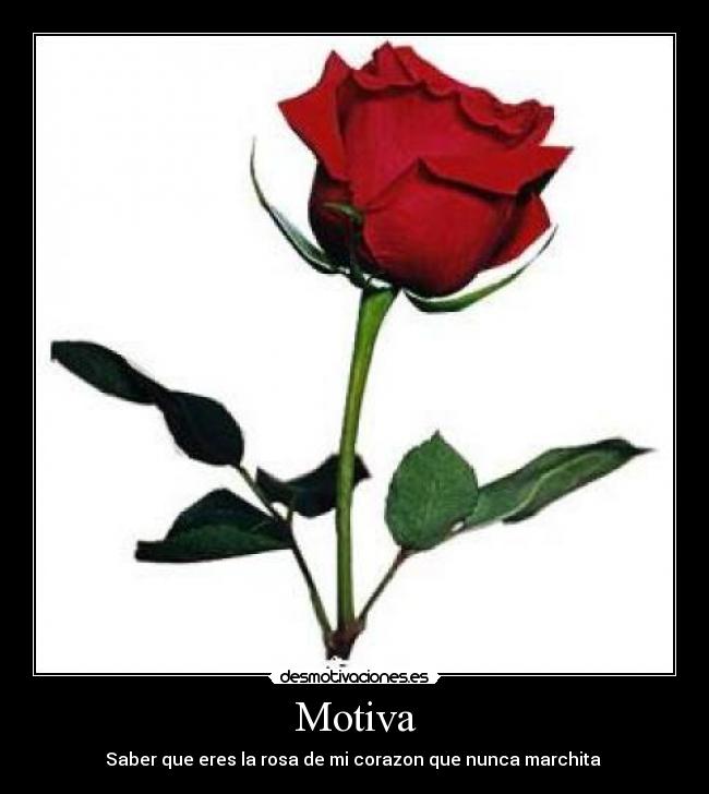 carteles jaja desmotivaciones