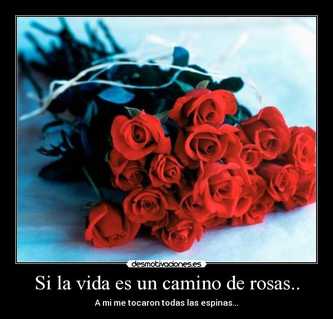 Si la vida es un camino de rosas.. - 