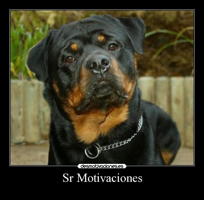Sr Motivaciones -