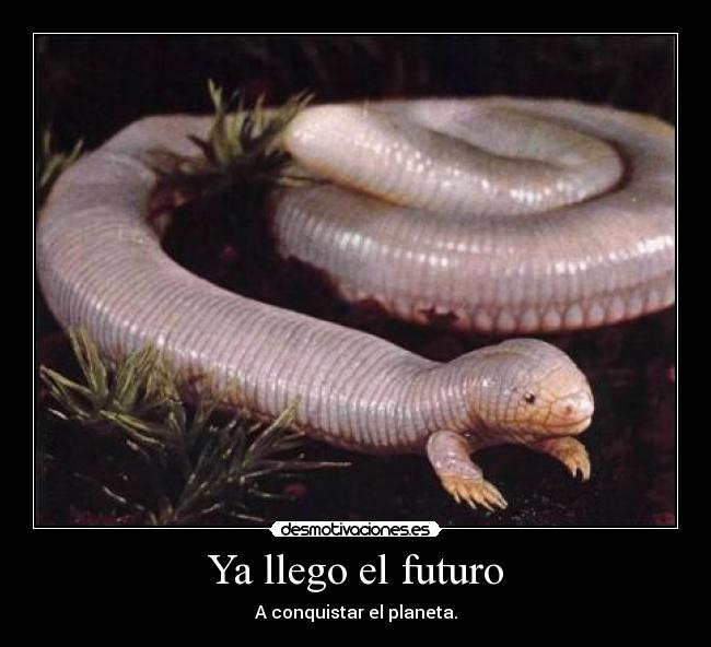 Ya llego el futuro -