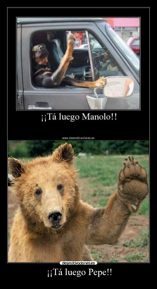 ¡¡Tá luego Pepe!! - 