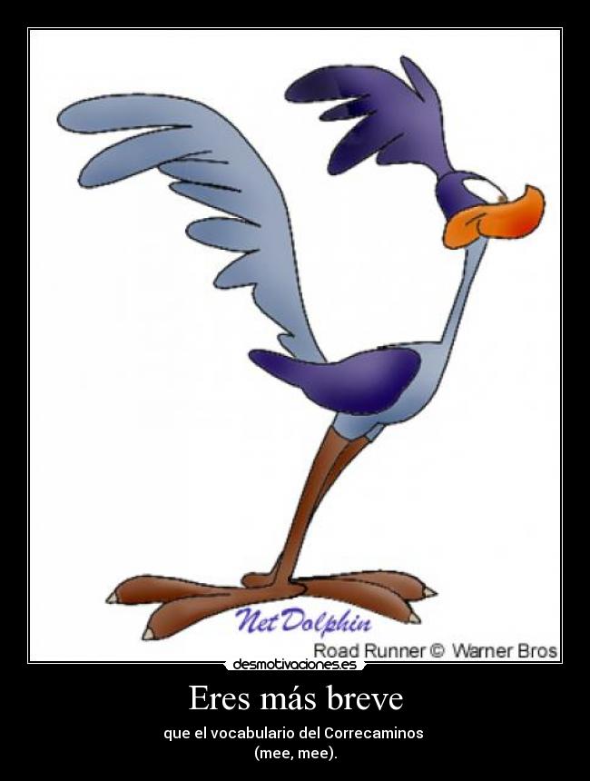 Eres más breve -