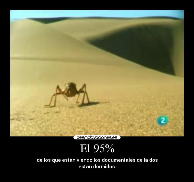 El 95% - 