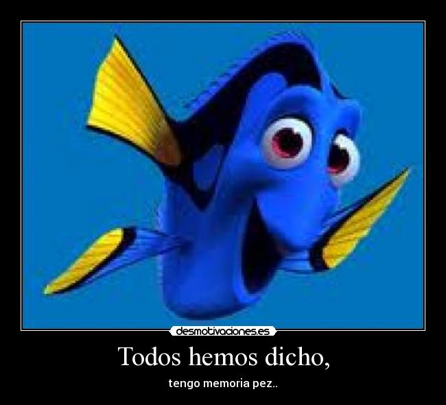 carteles dory dori pez memoria namelessnes dicho decir desmotivaciones