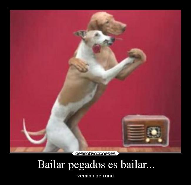 Bailar pegados es bailar... -