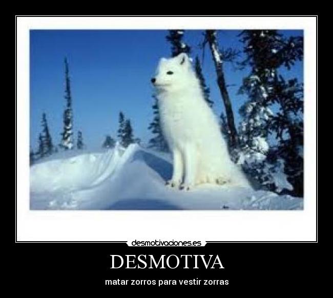 DESMOTIVA - 