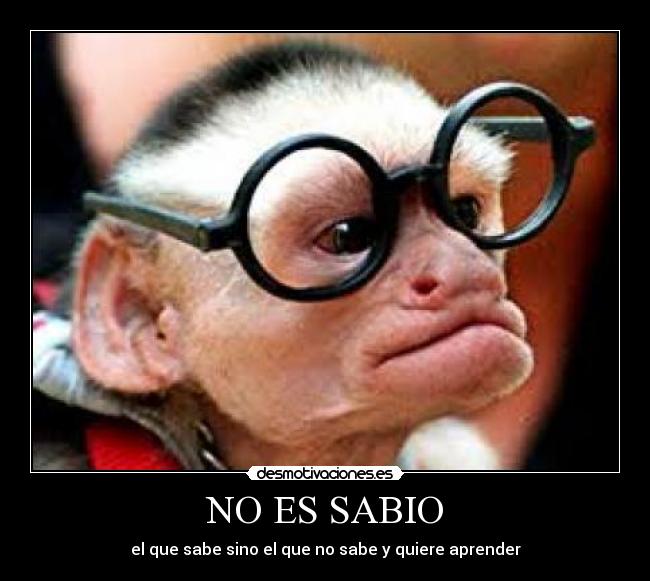 NO ES SABIO - 