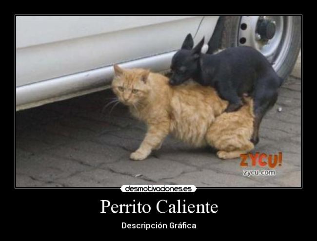 Perrito Caliente -