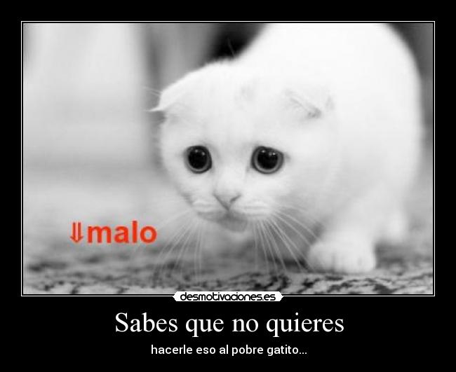Sabes que no quieres - hacerle eso al pobre gatito...