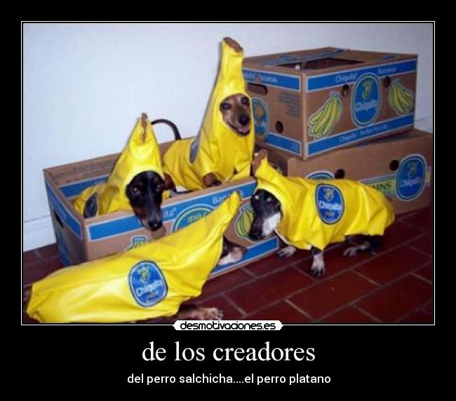 de los creadores -