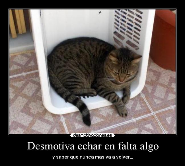 Desmotiva echar en falta algo - 