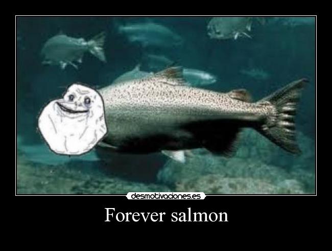 Forever salmon -
