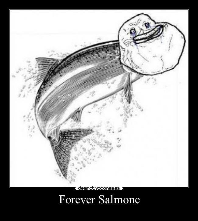 Forever Salmone -