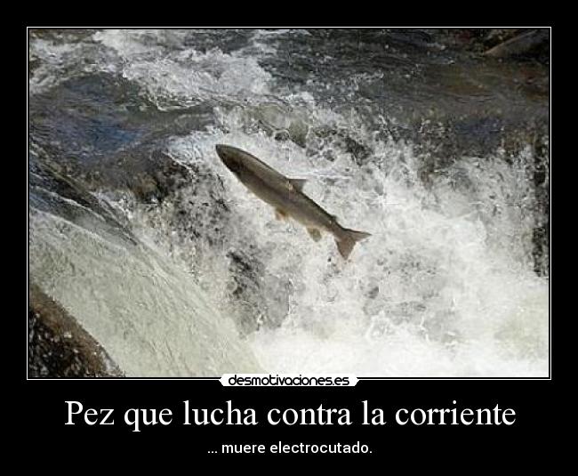 Pez que lucha contra la corriente - 