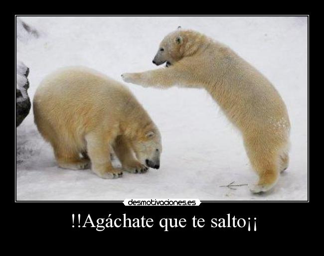 !!Agáchate que te salto¡¡ -