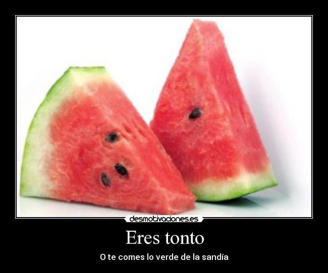 Eres tonto -
