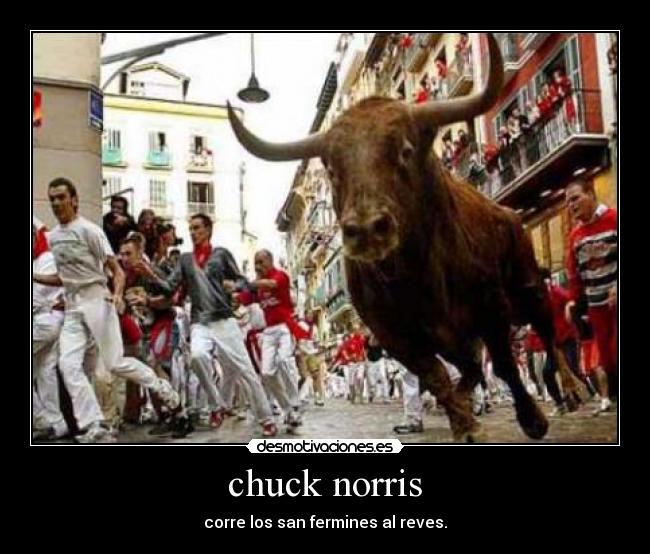 chuck norris - corre los san fermines al reves.