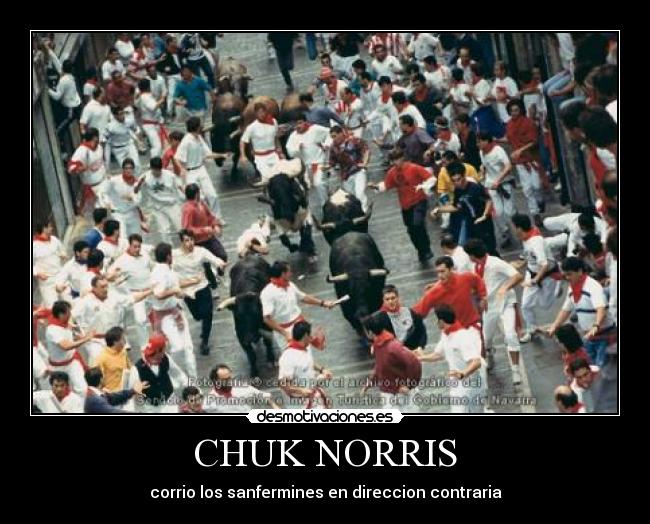 CHUK NORRIS -