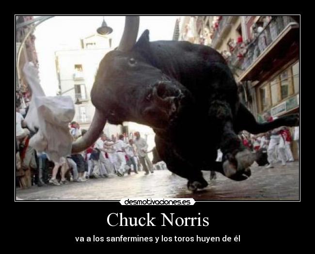 Chuck Norris -