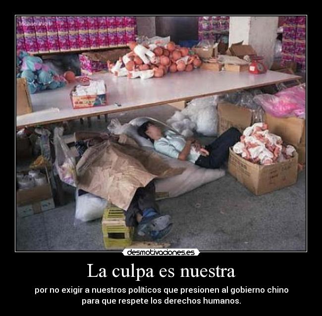 La culpa es nuestra -