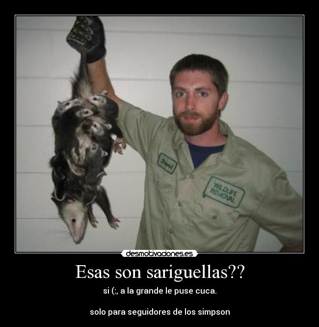 carteles simpson sari bolas pelotas animalitos gente chuck mada culo teta pene barba tocarceno desmotivaciones