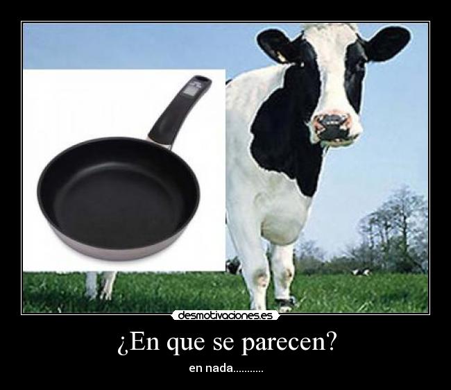 ¿En que se parecen? - 