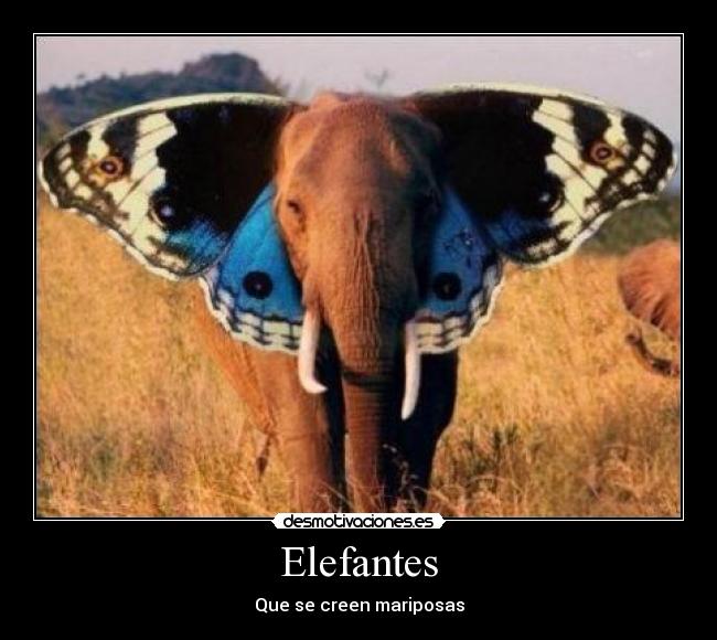 Elefantes - Que se creen mariposas