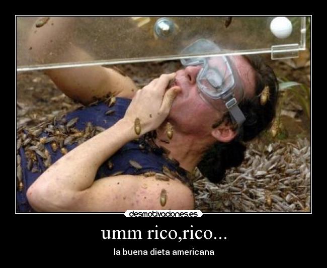 umm rico,rico... - la buena dieta americana