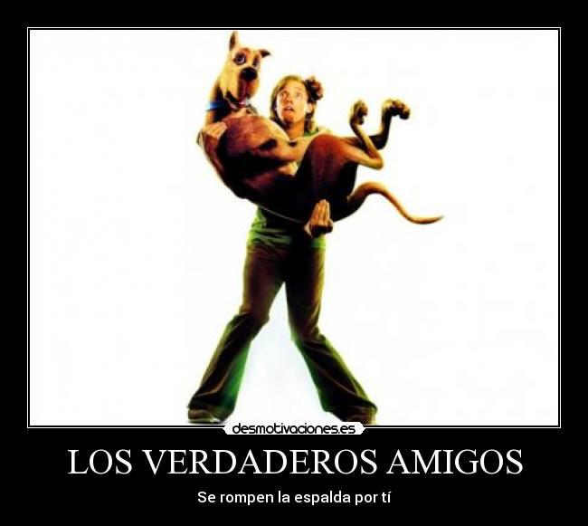 LOS VERDADEROS AMIGOS -